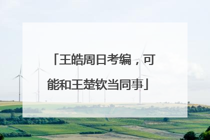 王皓周日考编，可能和王楚钦当同事